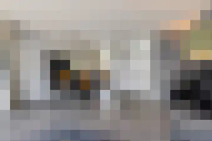 Nansenstate 11 Ede thumbnail 6