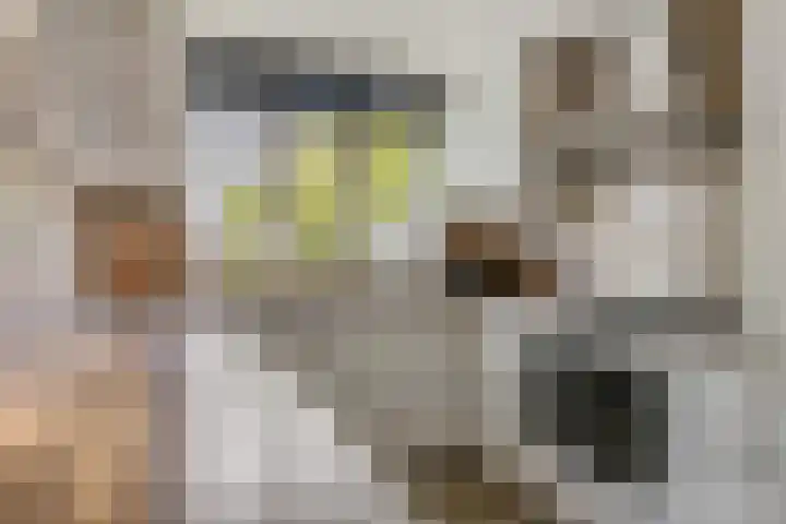 Nansenstate 11 Ede thumbnail 9