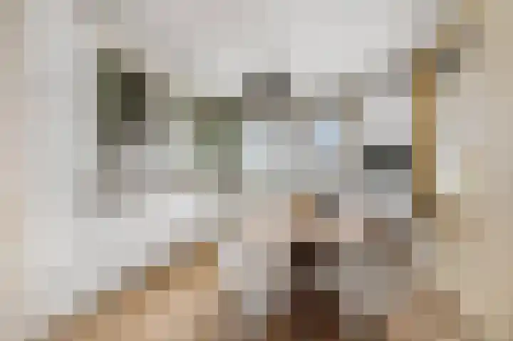 Nansenstate 20 Ede thumbnail 10