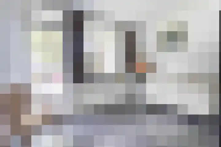 Nansenstate 20 Ede foto 3