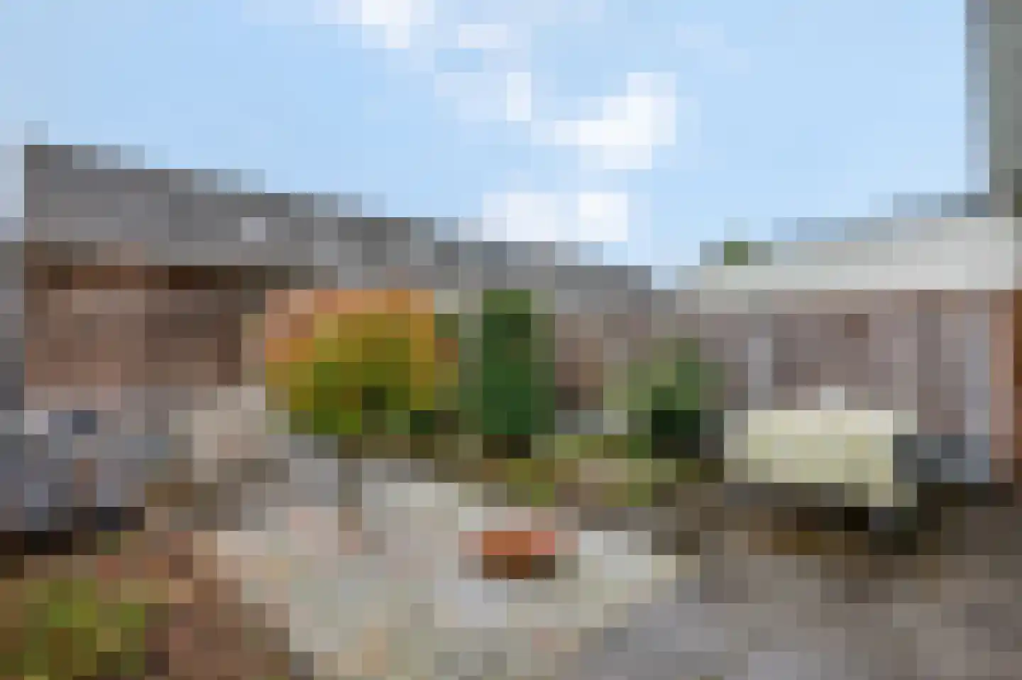 Nansenstate 20 Ede thumbnail 37