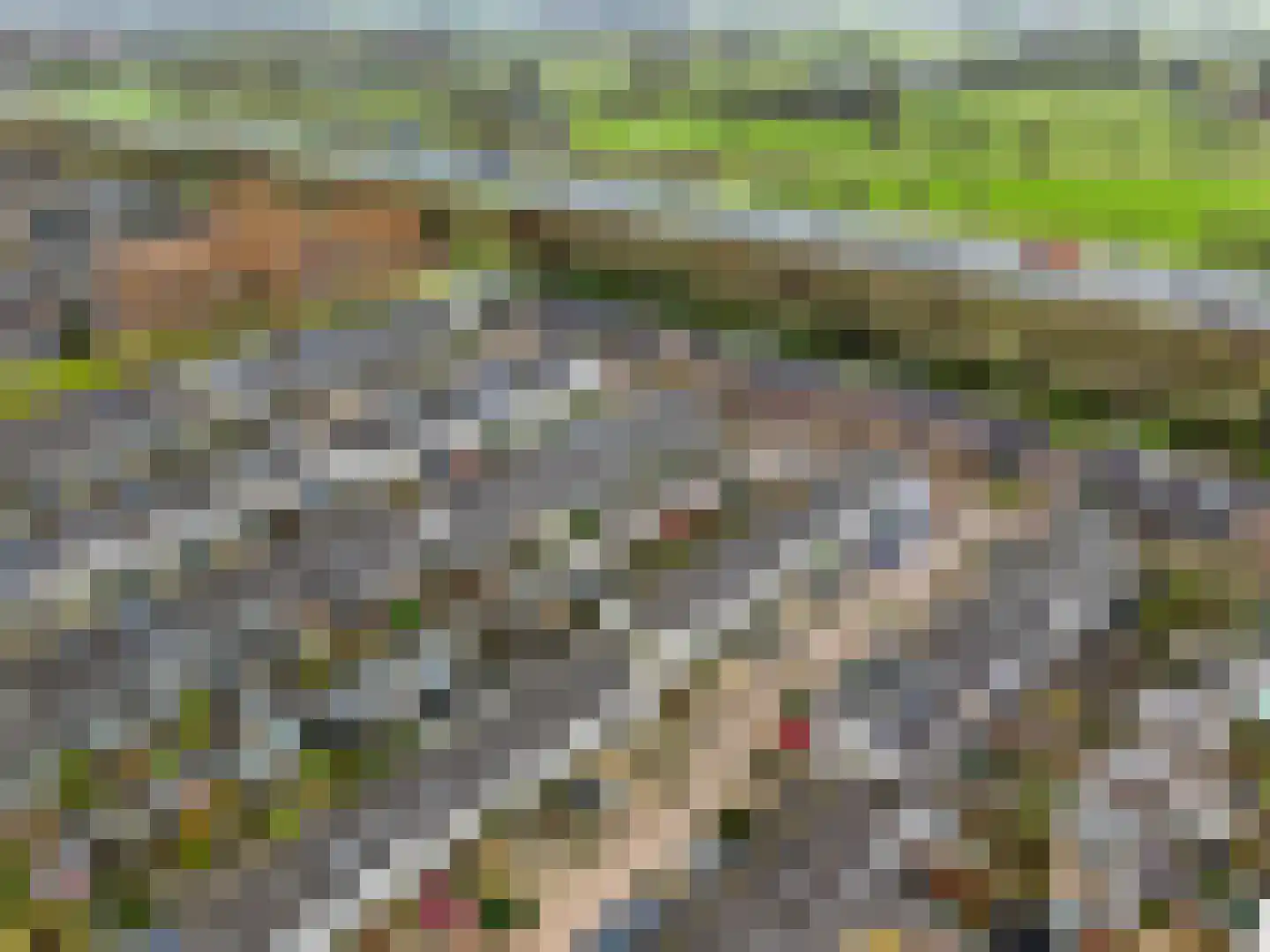 Nansenstate 20 Ede thumbnail 47