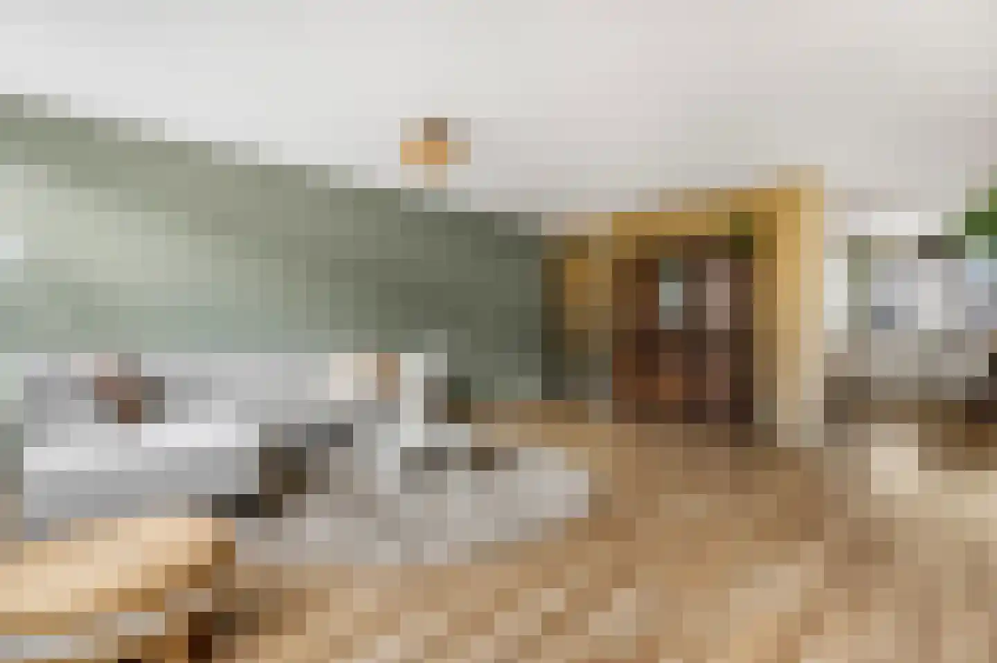 Nansenstate 20 Ede thumbnail 9