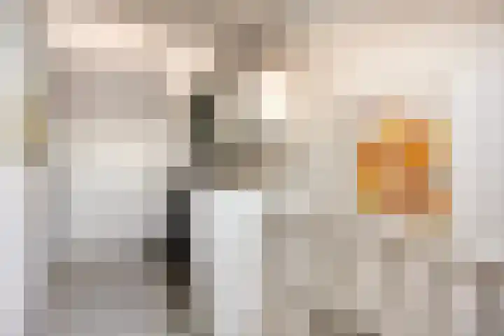 Nansenstate 40 Ede thumbnail 25
