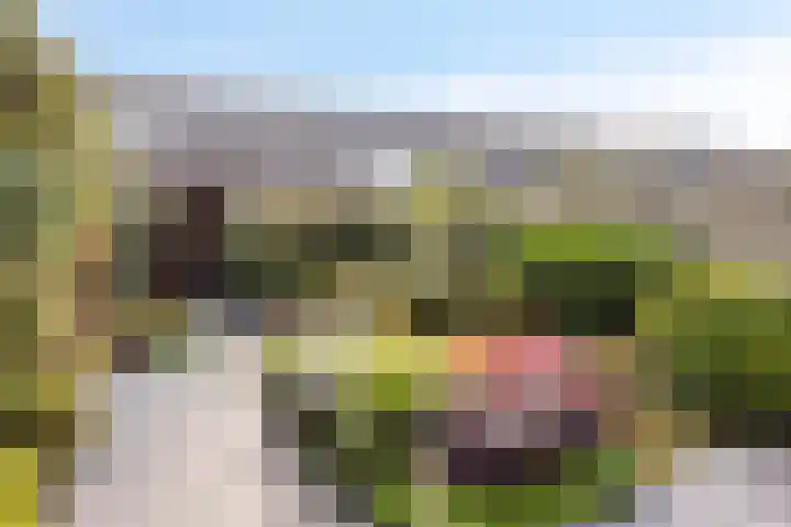 Nansenstate 40 Ede thumbnail 32