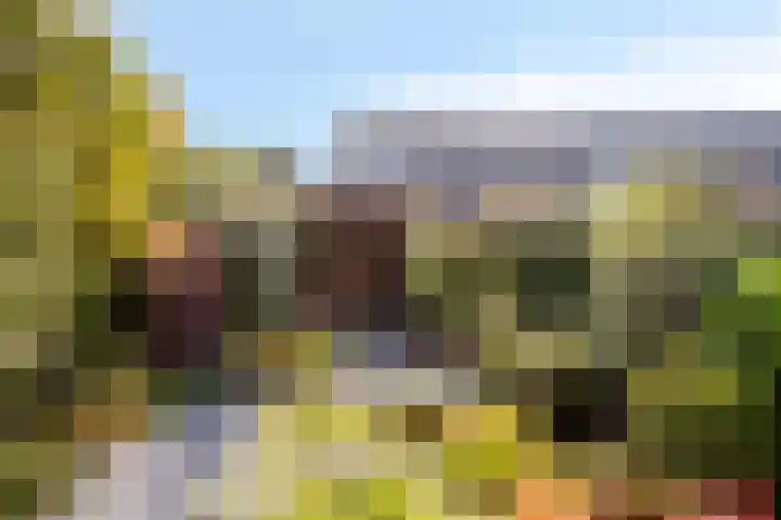 Nansenstate 40 Ede thumbnail 33
