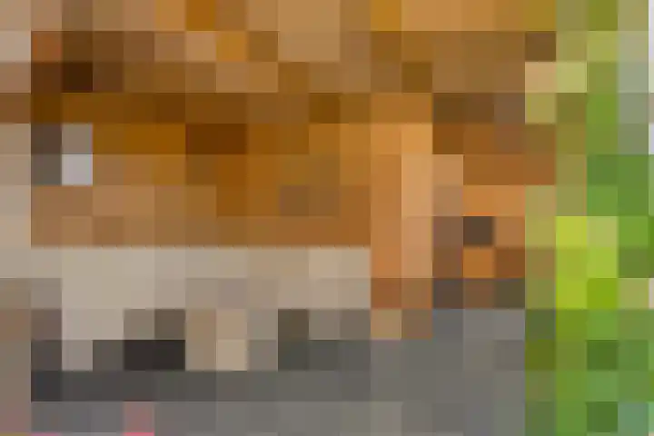 Nansenstate 40 Ede thumbnail 34