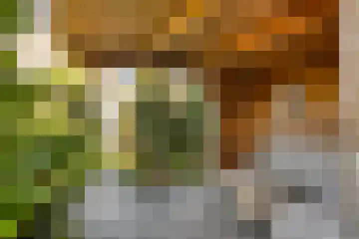 Nansenstate 40 Ede thumbnail 35