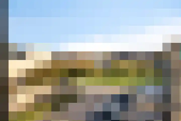 Nansenstate 40 Ede thumbnail 36