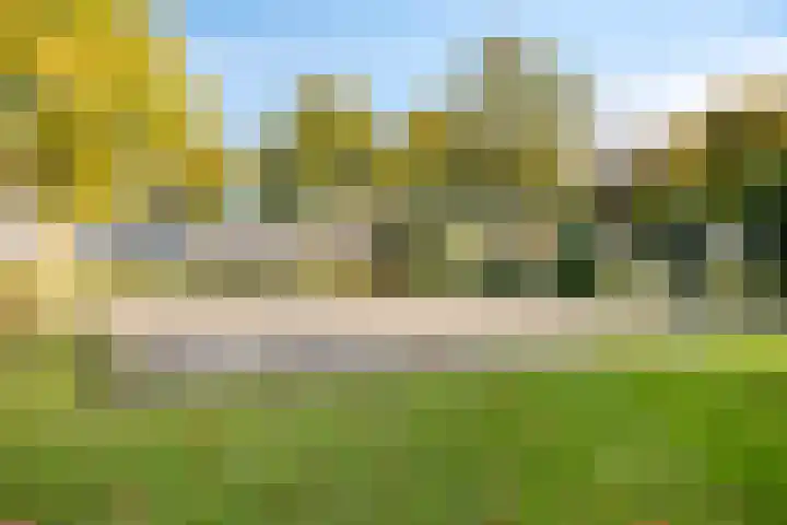 Nansenstate 40 Ede thumbnail 37