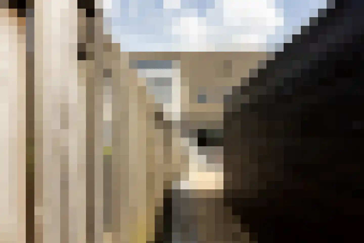 Nansenstate 5 Ede thumbnail 38
