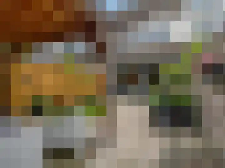 Nansenstate 6 Ede thumbnail 36