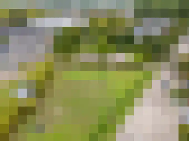 Nansenstate 6 Ede thumbnail 47