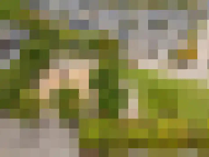 Nansenstate 6 Ede thumbnail 48