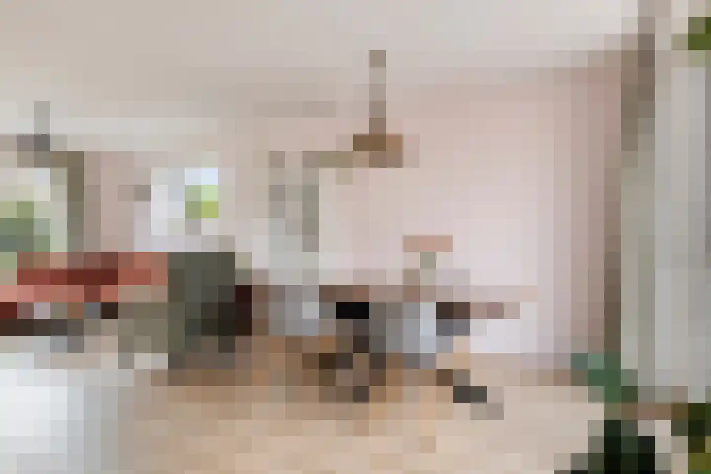 Nansenstraat 1 Zetten thumbnail 12