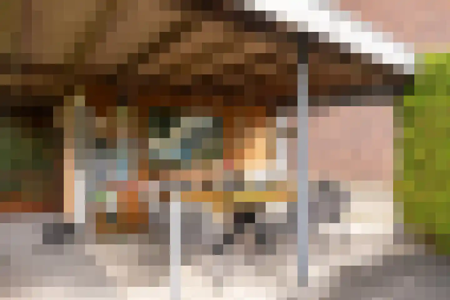 Nansenstraat 2 Veenendaal thumbnail 13