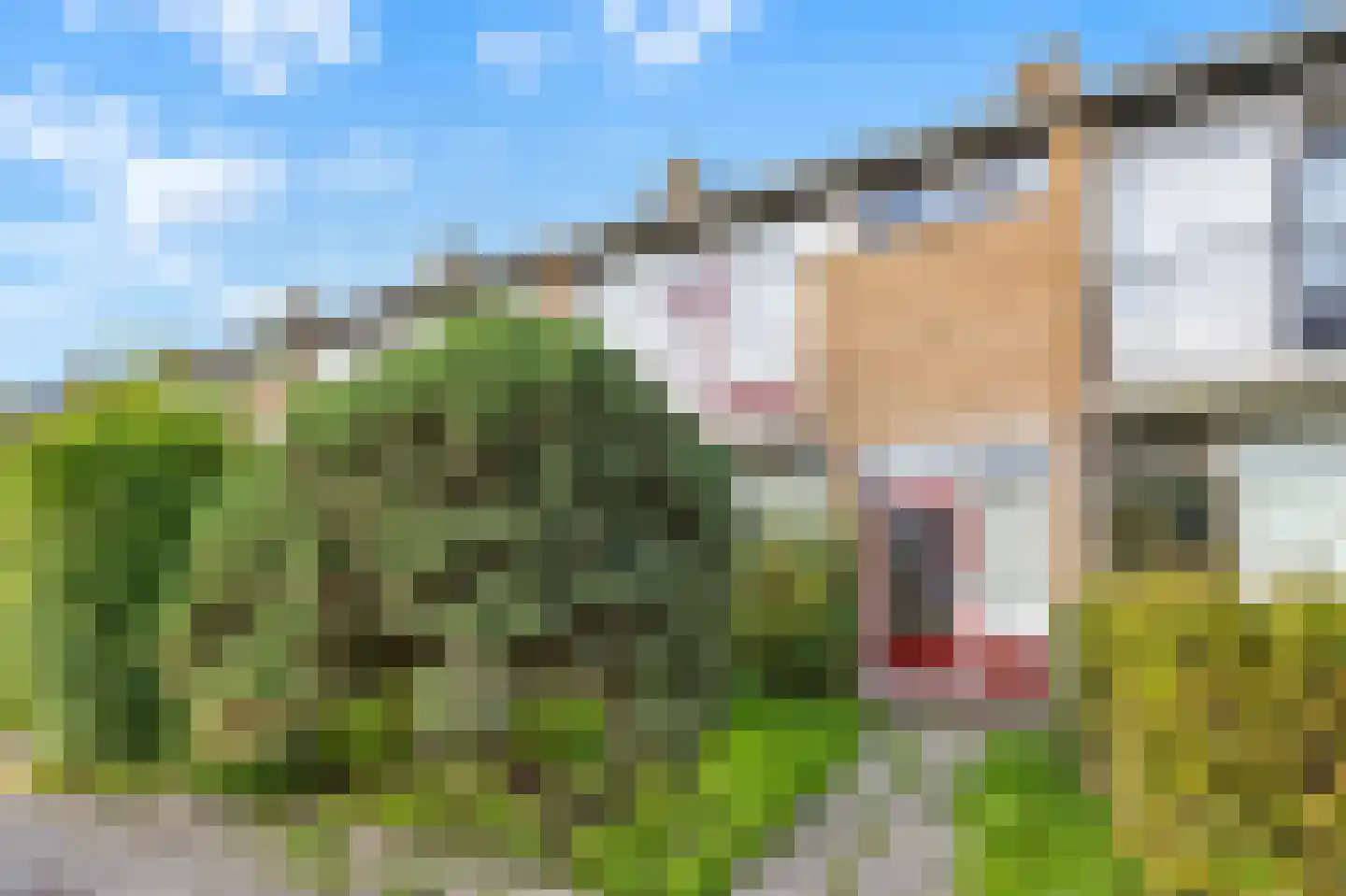 Nansenstraat 24 Gouda thumbnail 7