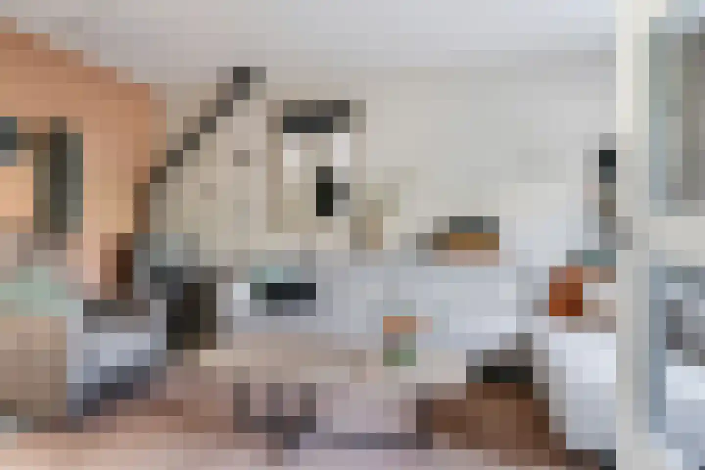 Nansenstraat 4 Zetten thumbnail 11