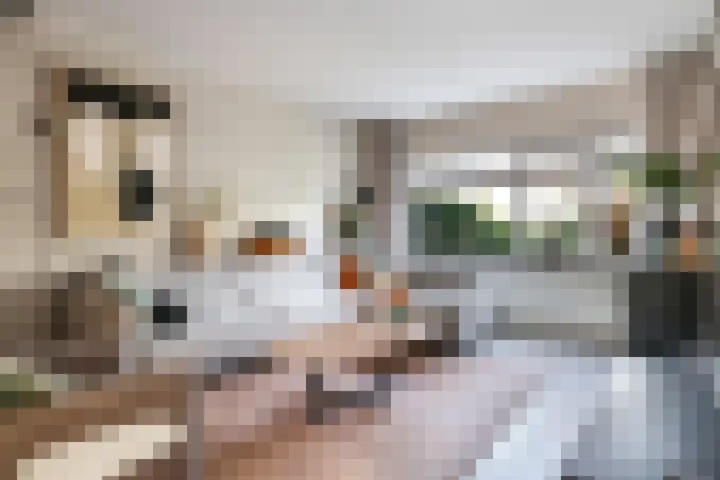 Nansenstraat 4 Zetten thumbnail 12