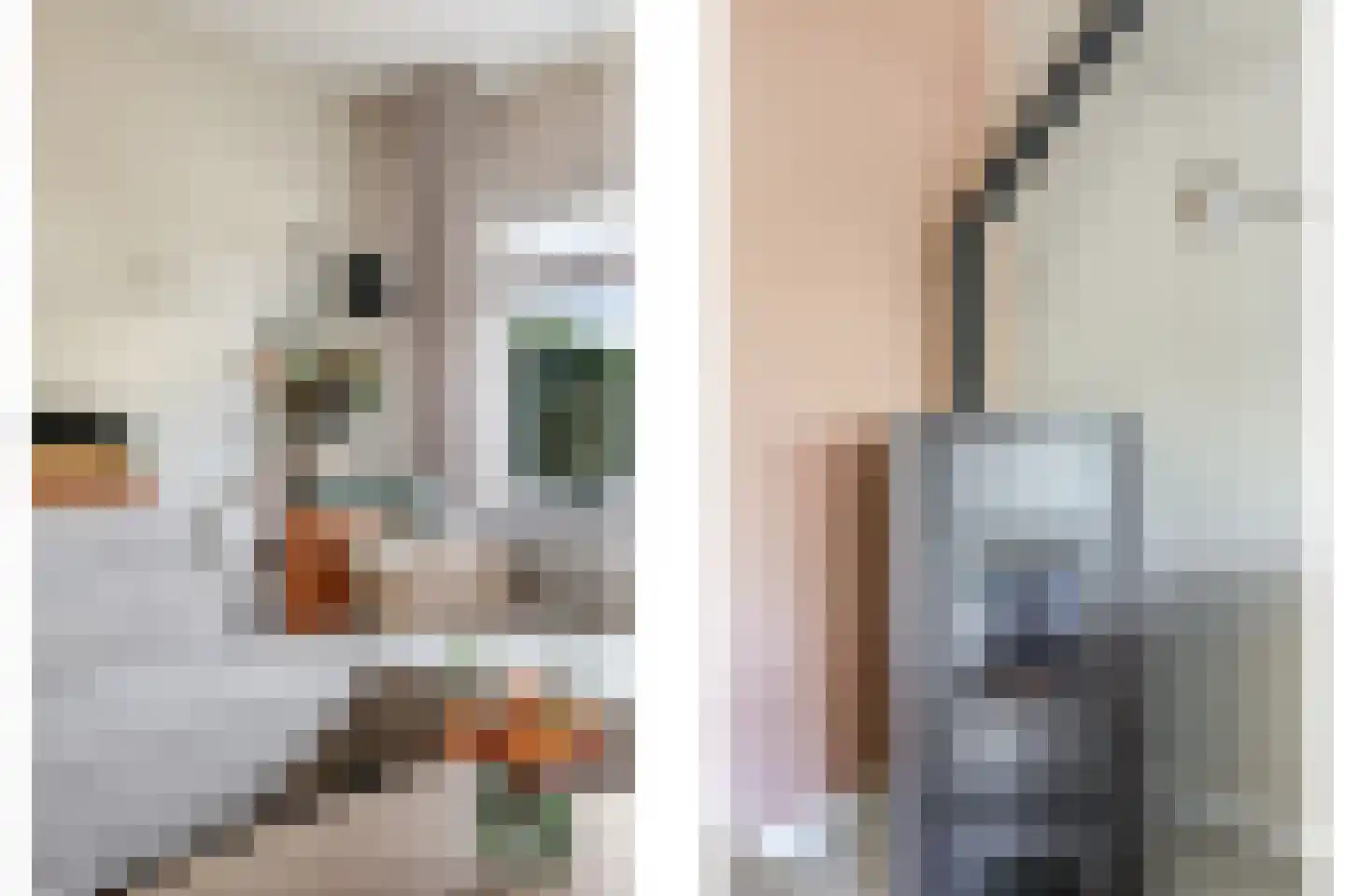 Nansenstraat 4 Zetten thumbnail 15