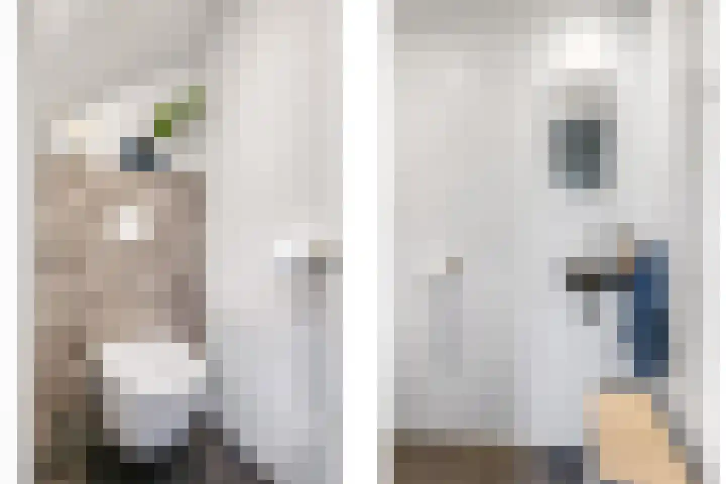Nansenstraat 4 Zetten thumbnail 29