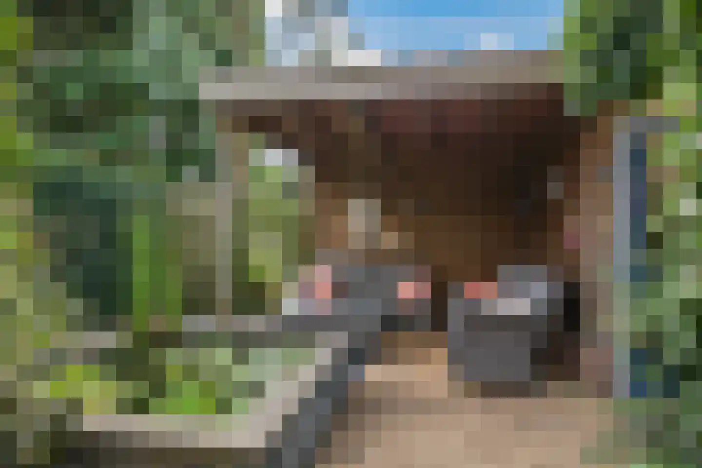 Nansenstraat 4 Zetten thumbnail 4