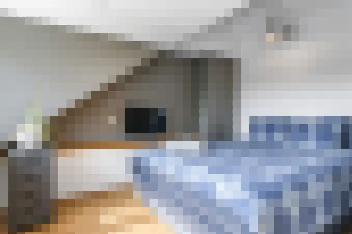 Nansenstraat 4 Zetten thumbnail 43