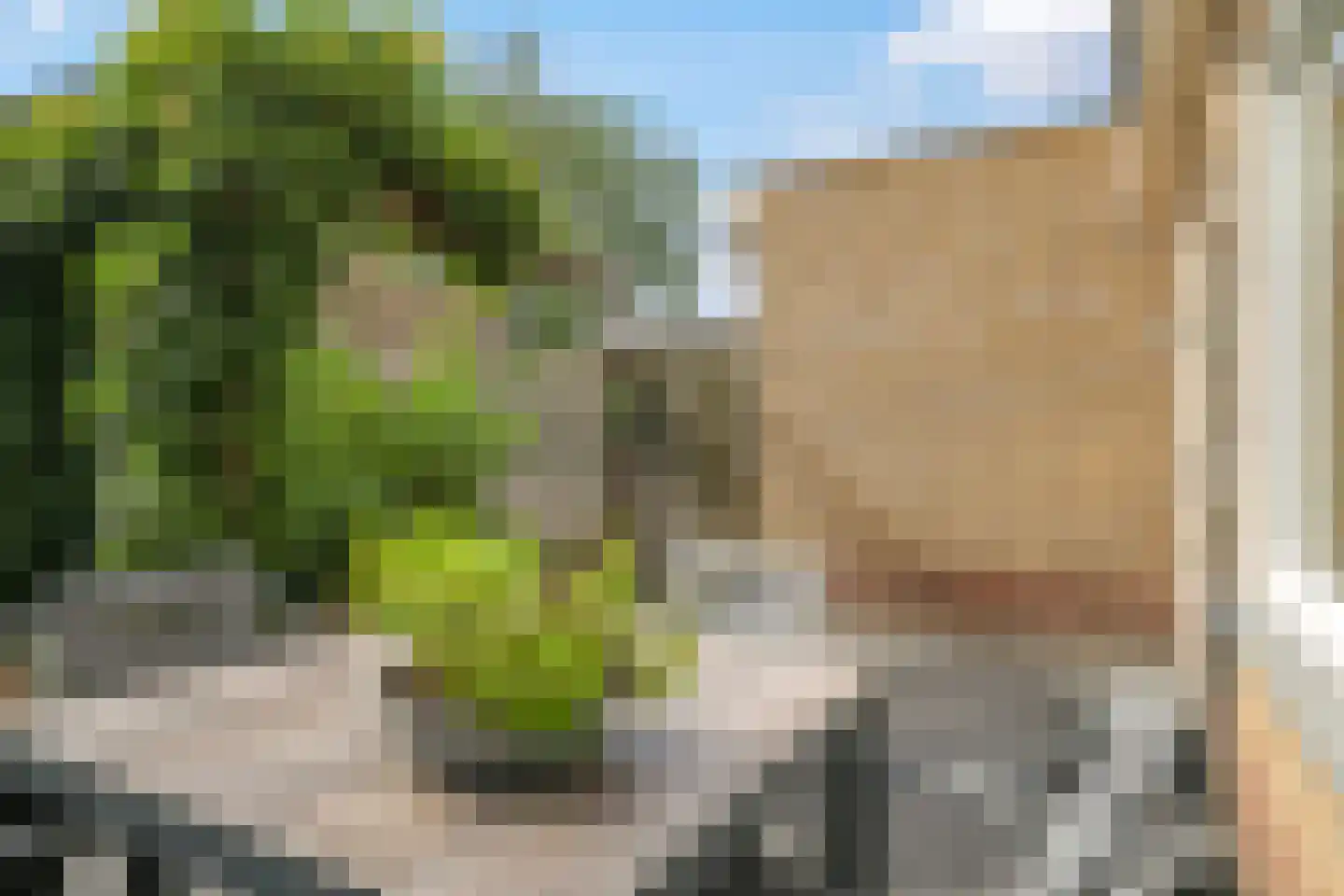 Nansenstraat 4 Zetten thumbnail 54