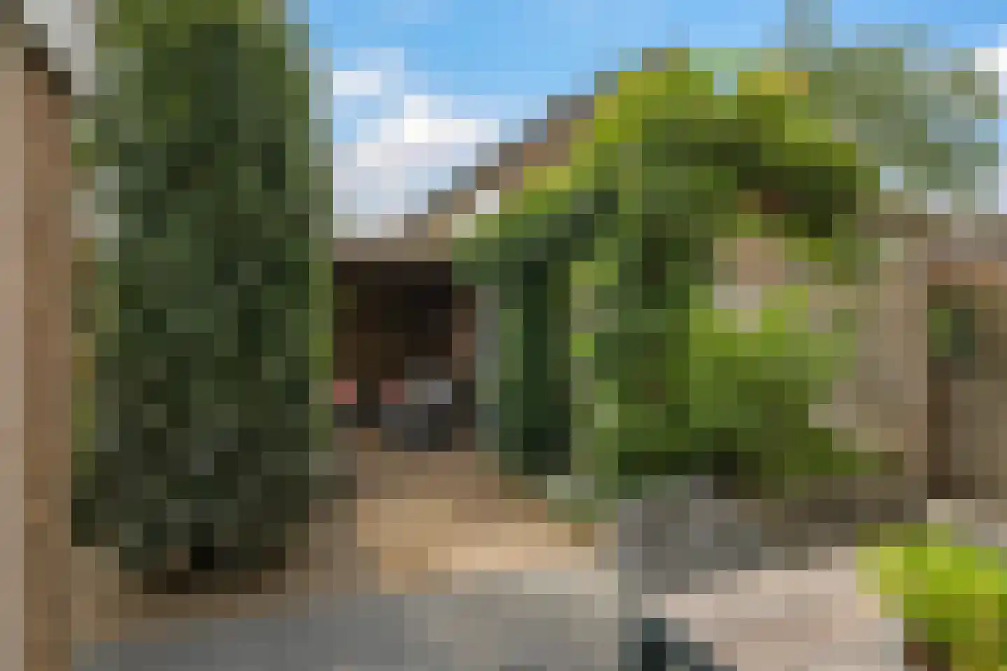 Nansenstraat 4 Zetten thumbnail 56