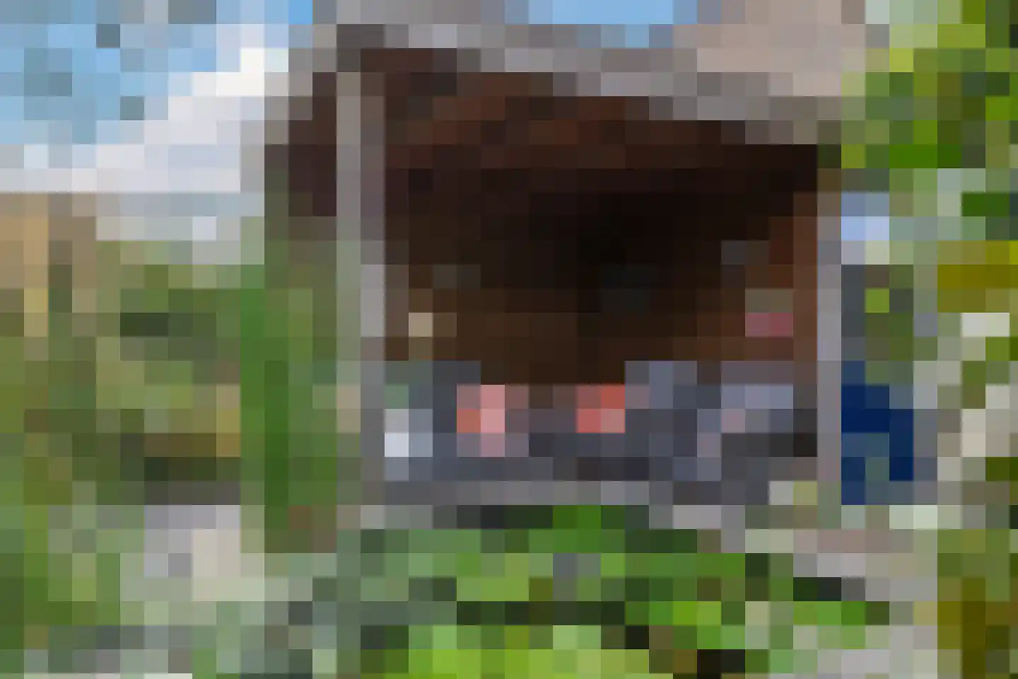 Nansenstraat 4 Zetten thumbnail 60