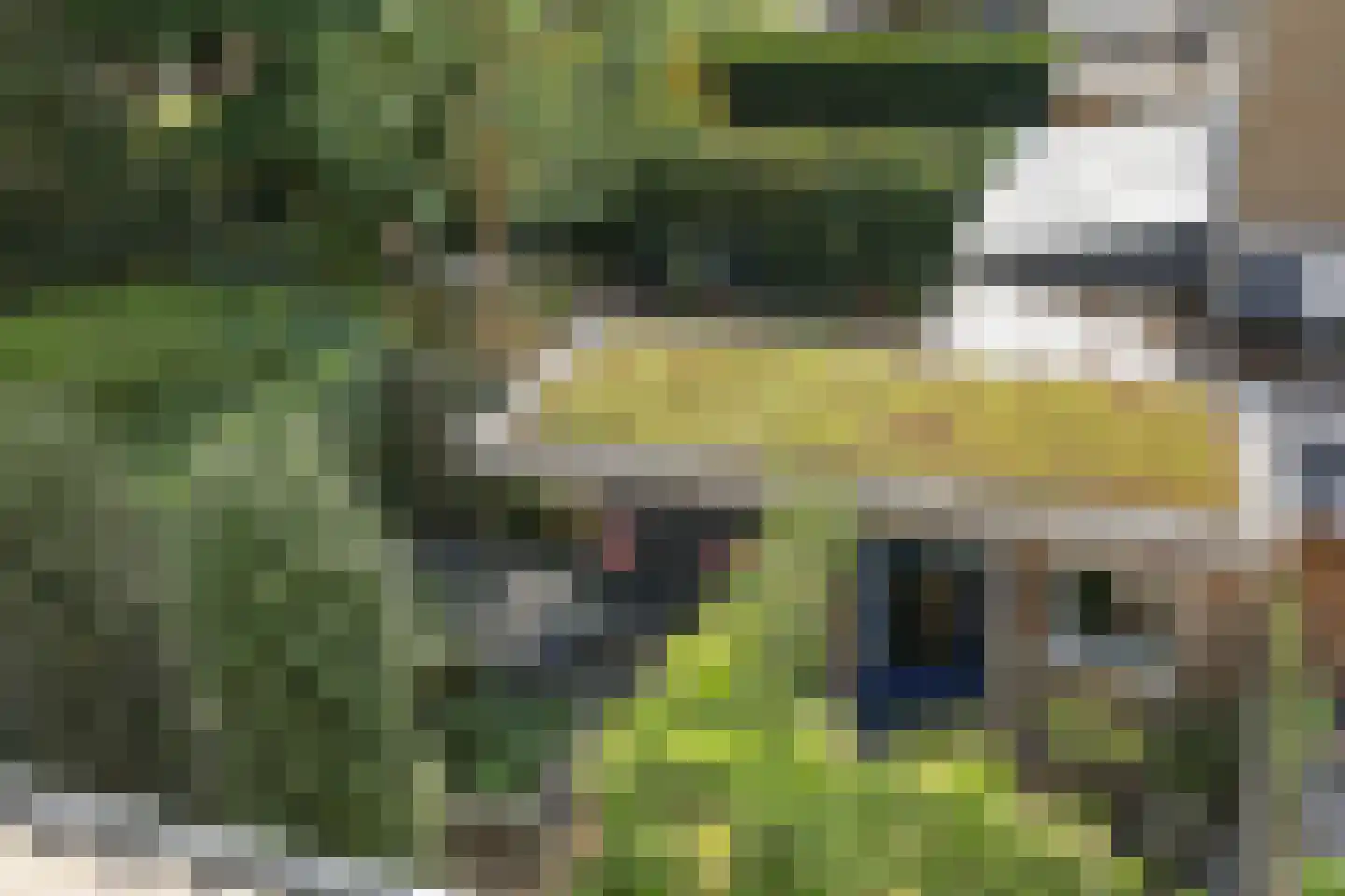 Nansenstraat 4 Zetten thumbnail 66