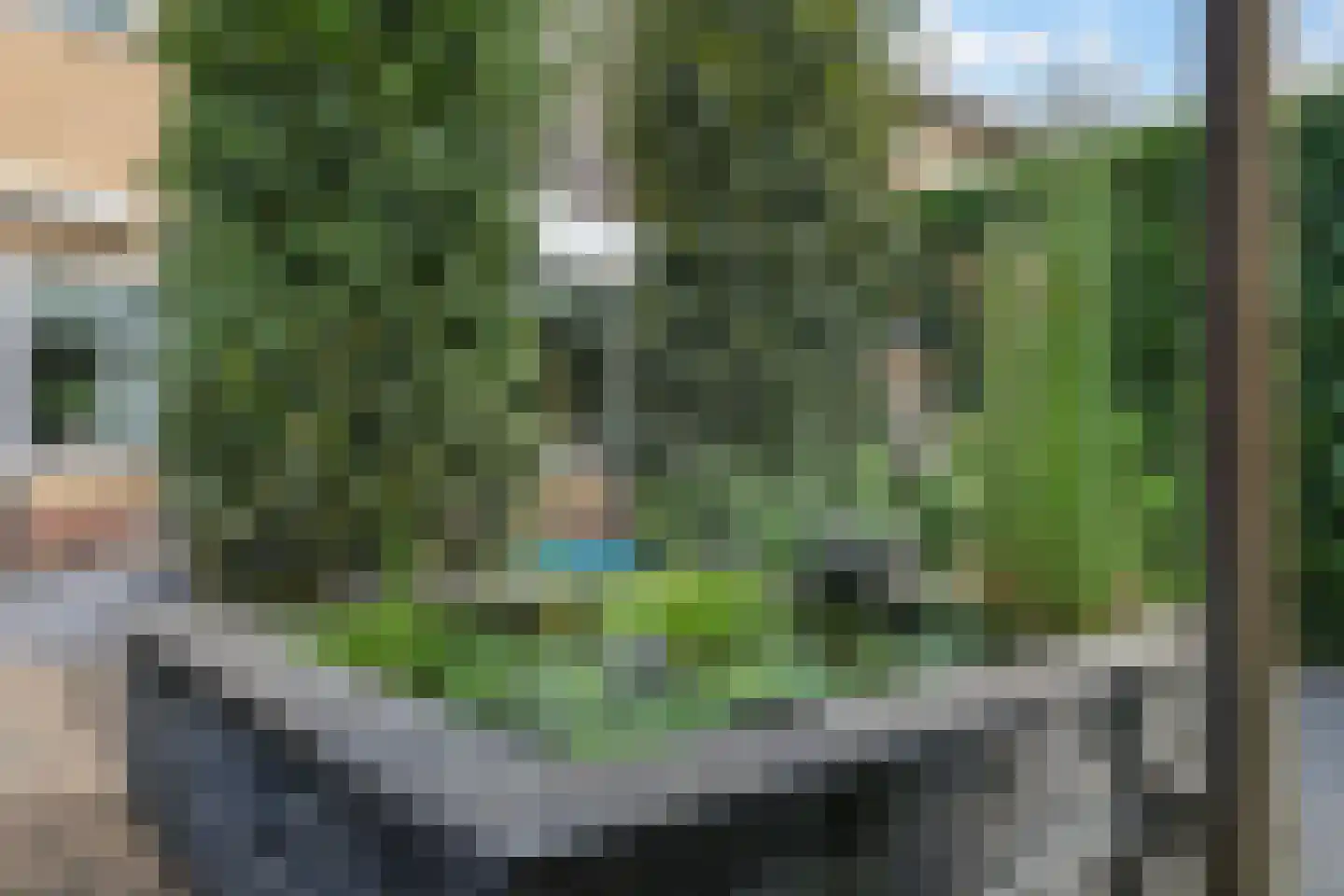 Nansenstraat 4 Zetten thumbnail 67