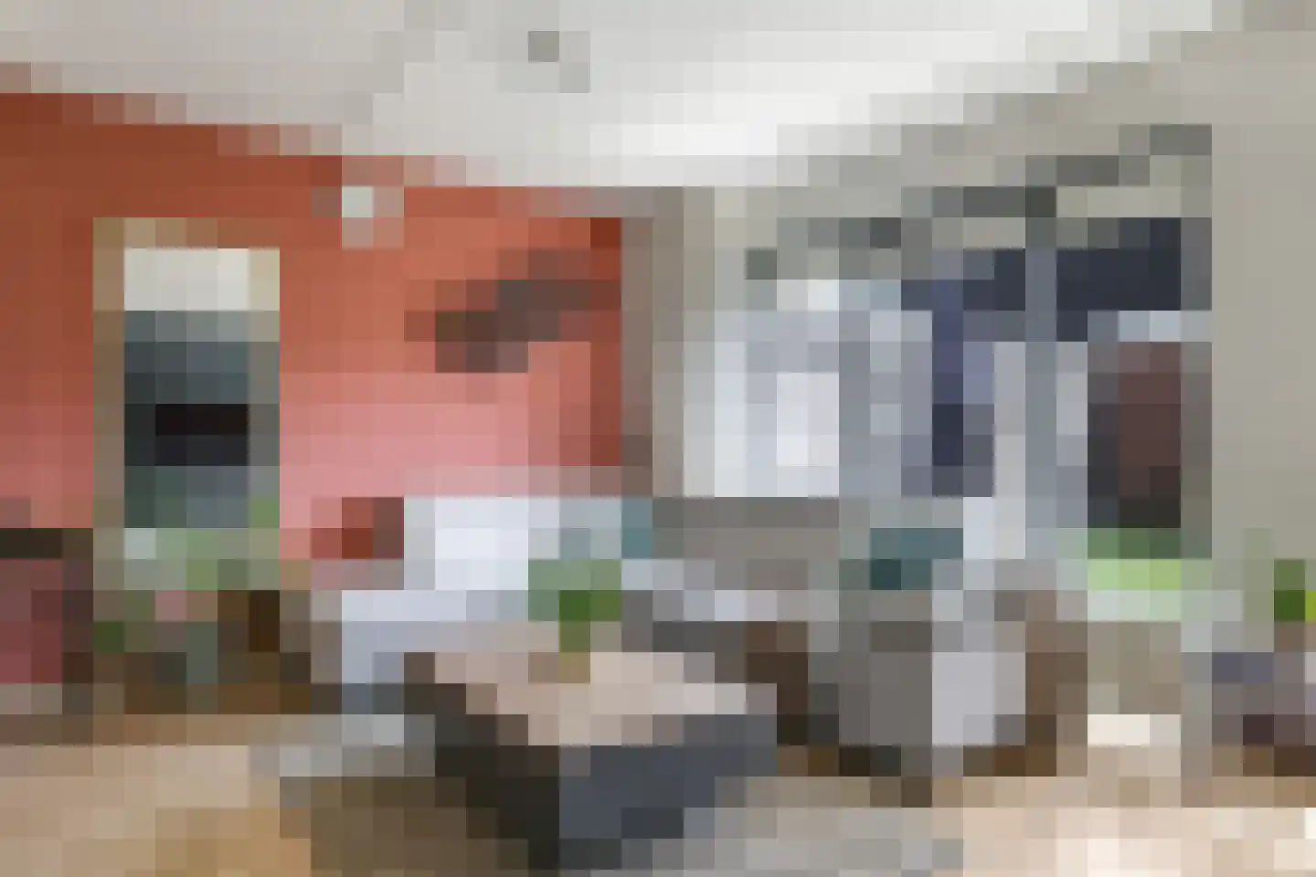 Nansenstraat 40 Zetten thumbnail 14