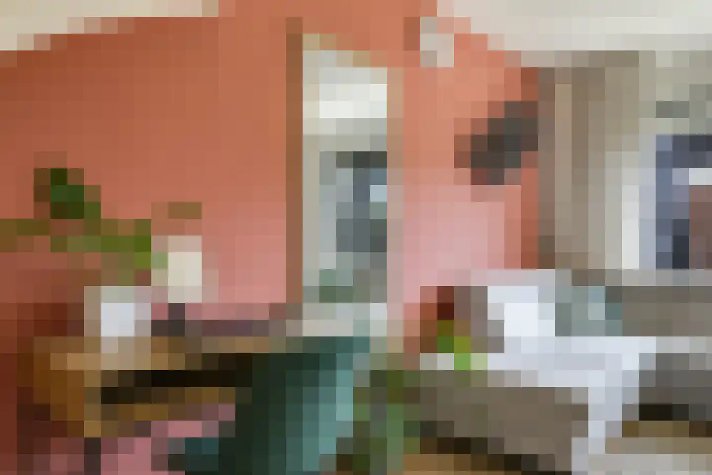 Nansenstraat 40 Zetten thumbnail 15