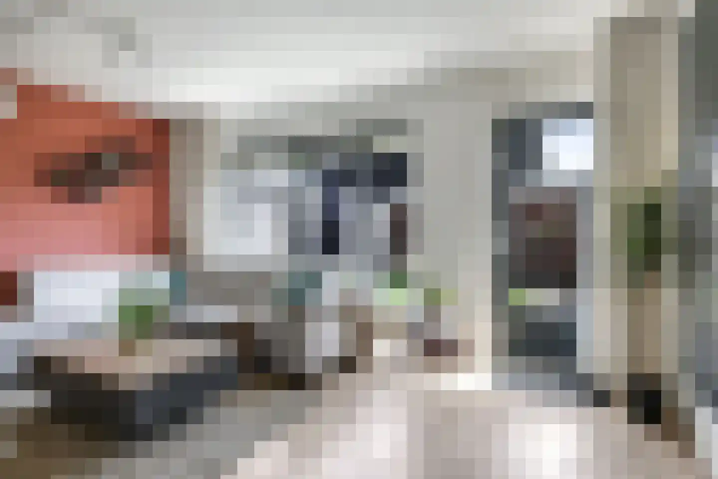 Nansenstraat 40 Zetten thumbnail 16