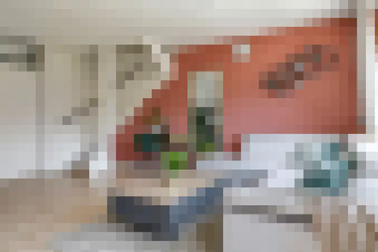 Nansenstraat 40 Zetten thumbnail 18