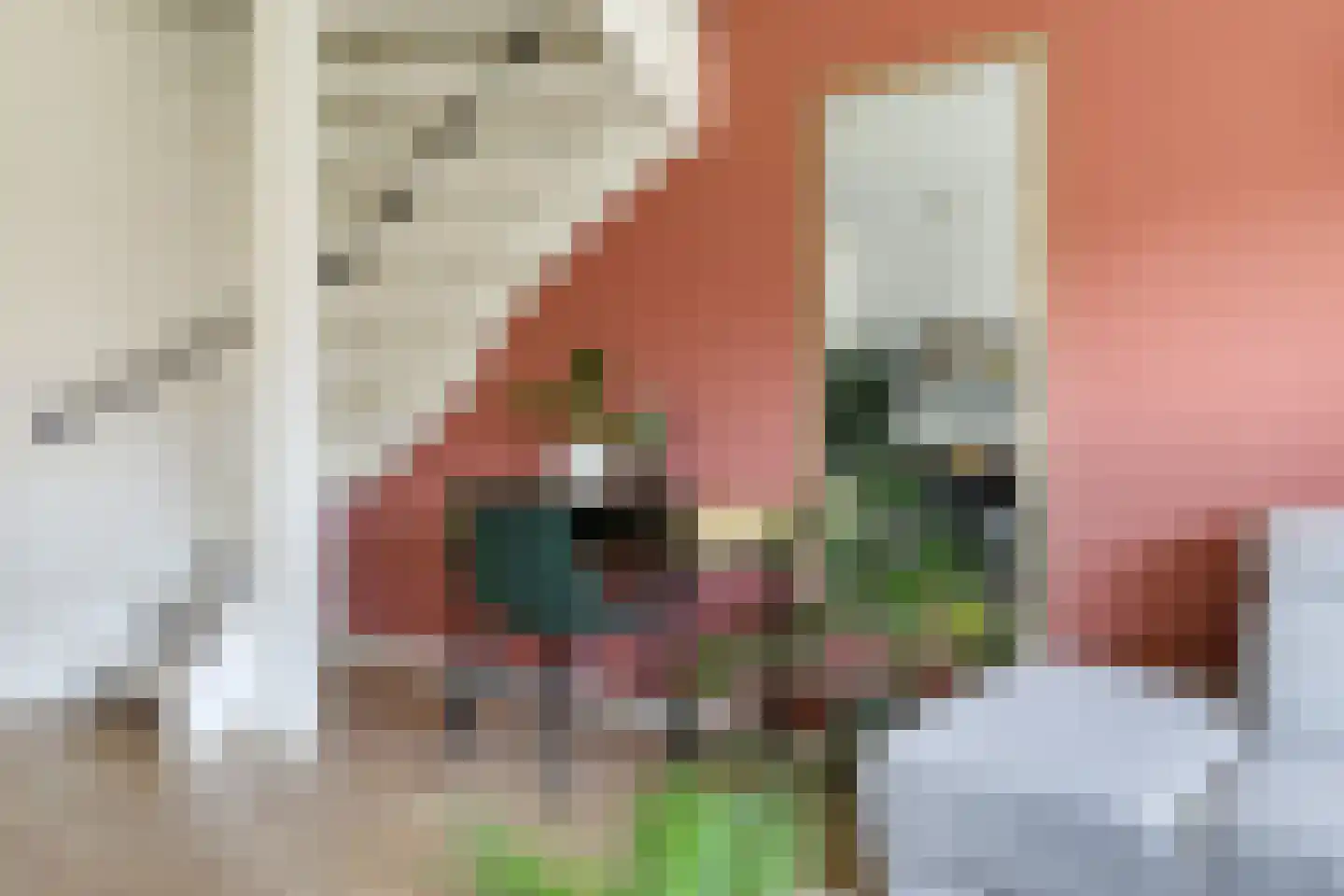 Nansenstraat 40 Zetten thumbnail 19
