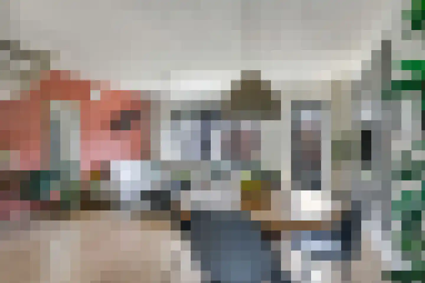 Nansenstraat 40 Zetten thumbnail 20