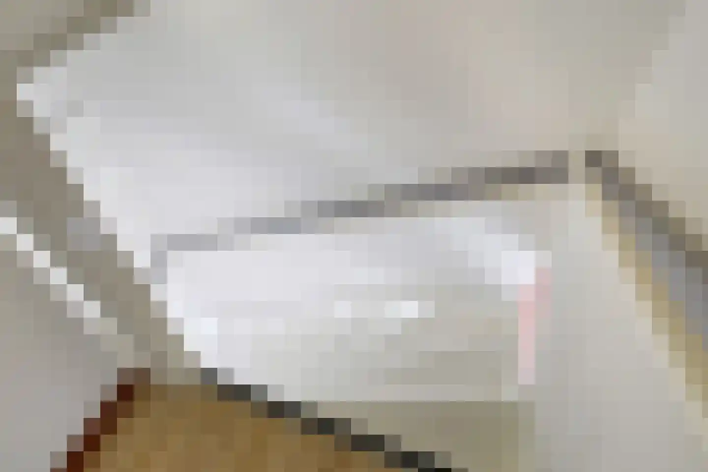 Nansenstraat 40 Zetten thumbnail 30