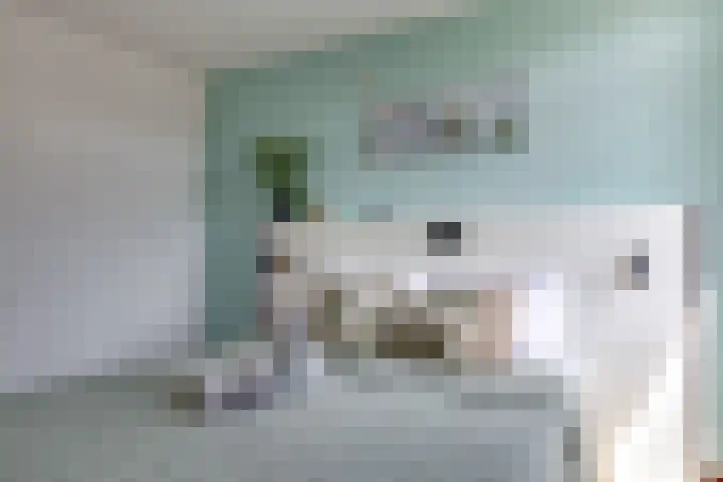 Nansenstraat 40 Zetten thumbnail 33