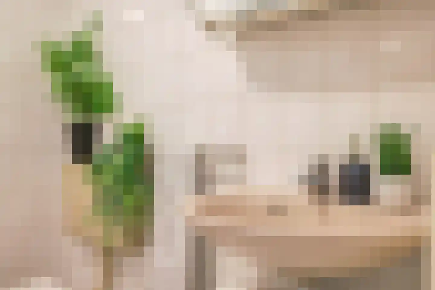 Nansenstraat 40 Zetten thumbnail 37