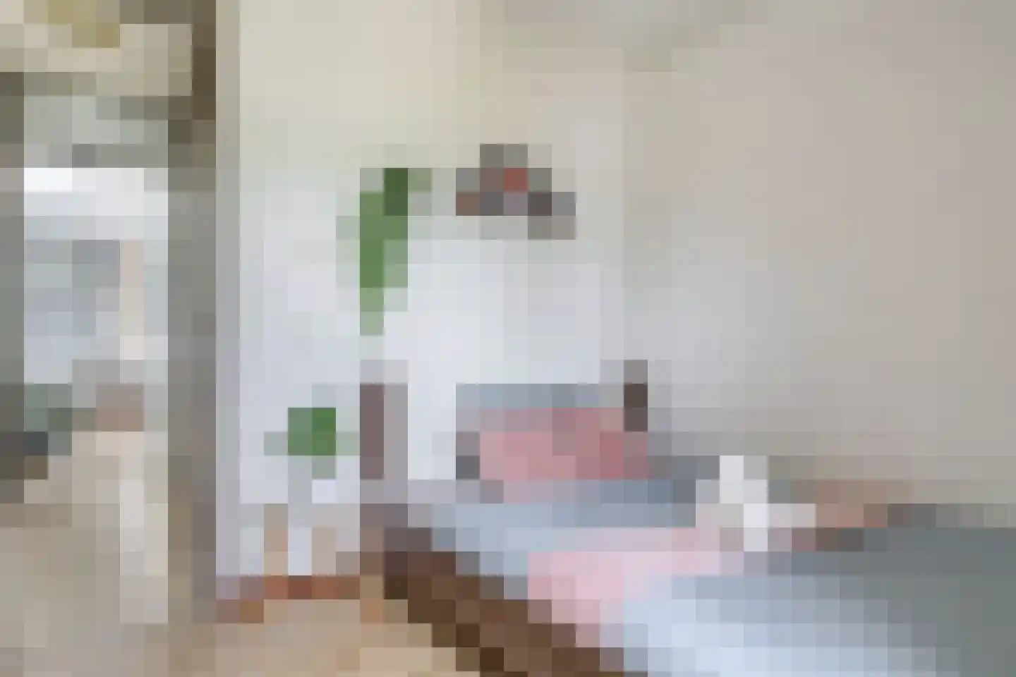 Nansenstraat 40 Zetten thumbnail 41