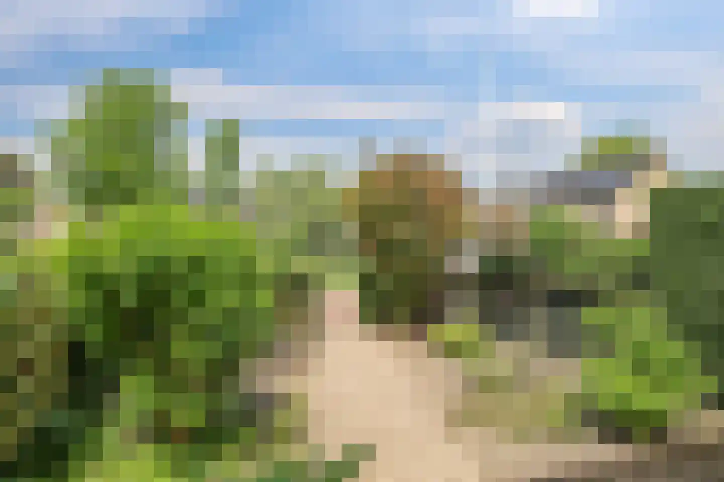 Nansenstraat 40 Zetten thumbnail 61