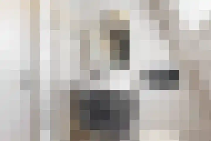 Nansenstraat 46 Zetten thumbnail 15