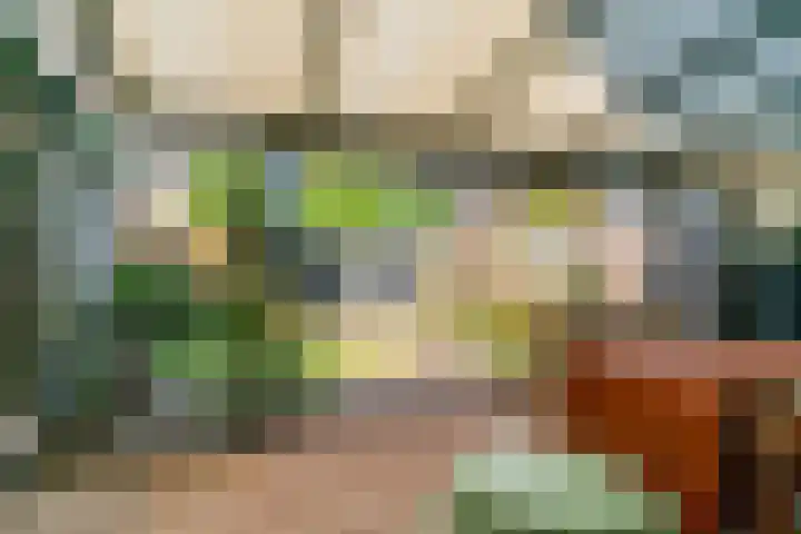 Nansenstraat 46 Zetten thumbnail 19