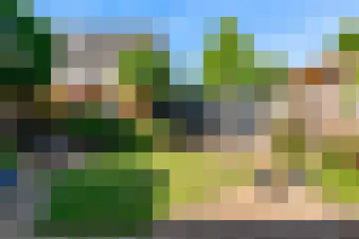 Nansenstraat 46 Zetten thumbnail 21