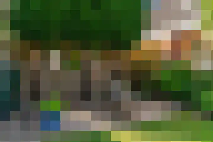 Nansenstraat 46 Zetten thumbnail 22