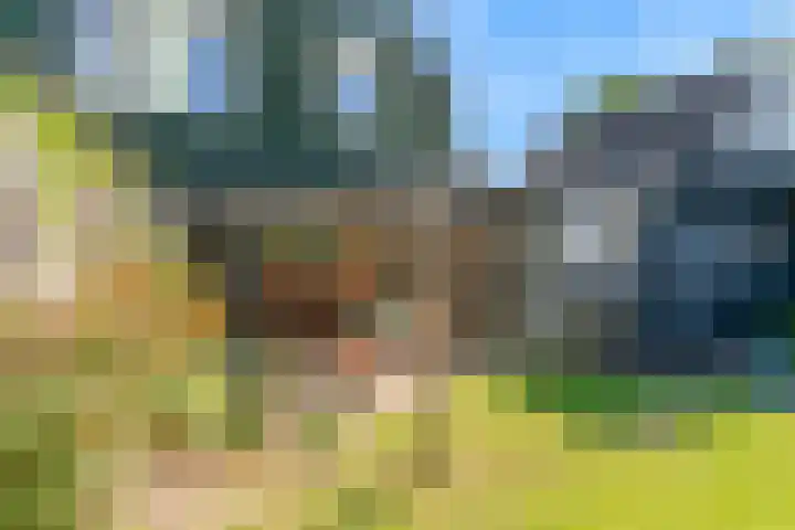 Nansenstraat 46 Zetten thumbnail 24