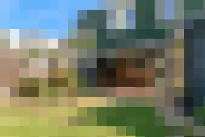 Nansenstraat 46 Zetten thumbnail 25