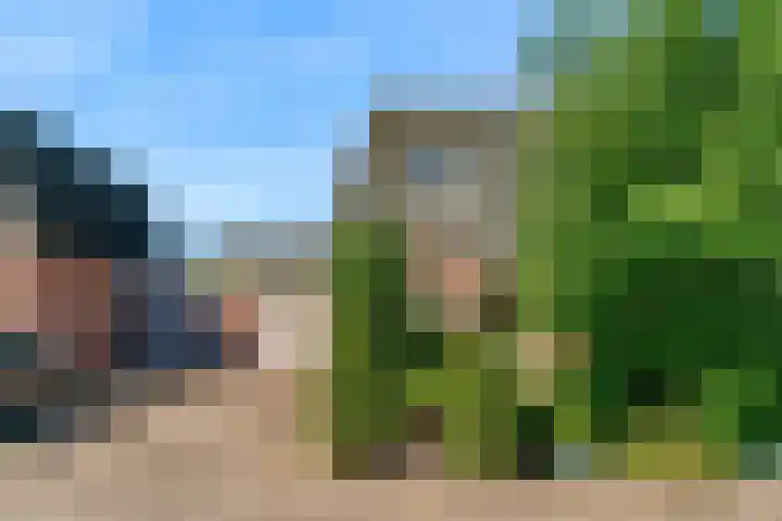 Nansenstraat 46 Zetten thumbnail 26